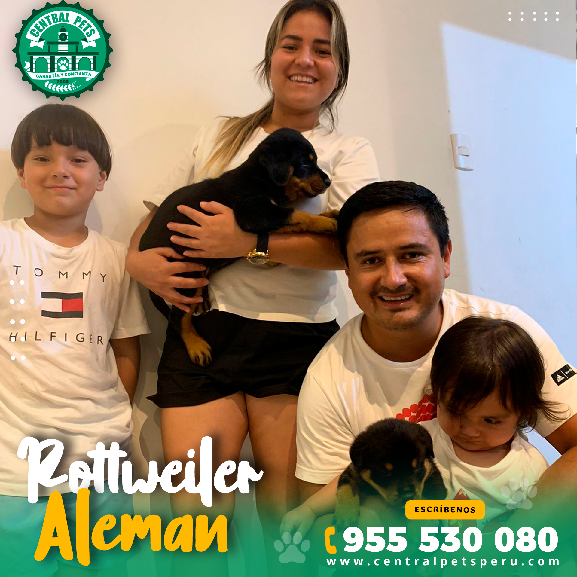 Rottweiler Aleman Peru (6)